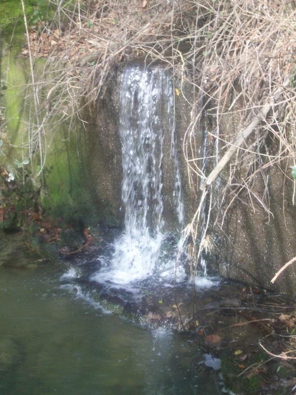 فيلا Agriturismo Gelso Castellana Sicula المظهر الخارجي الصورة